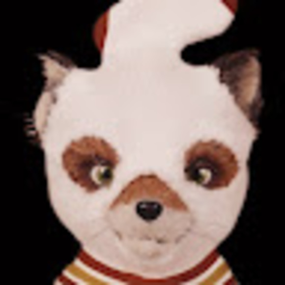 Meet your Posher, Ruby - Picture 1 of 1